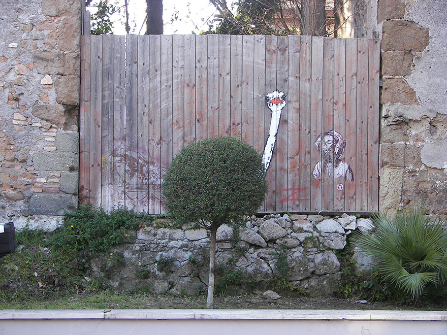 Ostrich, Rome, Italy